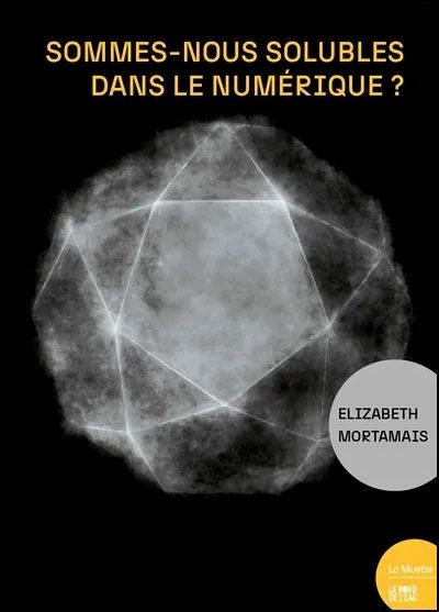 Sommes-nous solubles dans le numérique ?